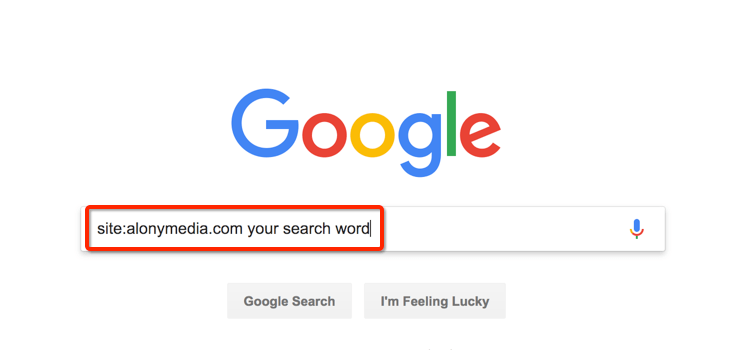 search only on a webpage with google search